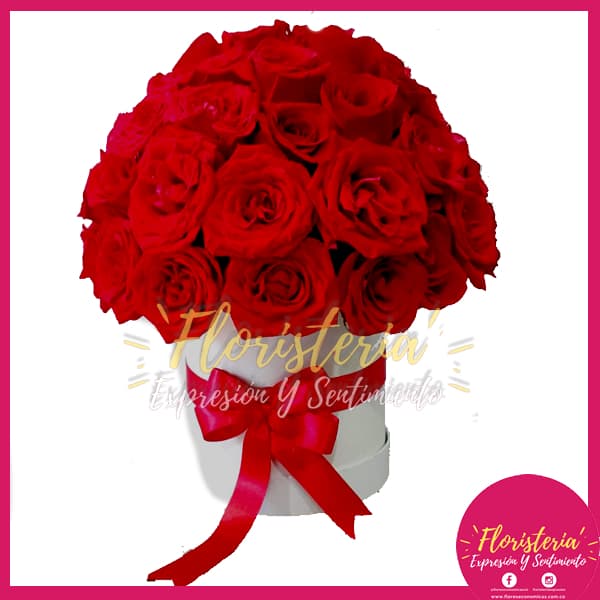 floristeria-expresion-1.jpg Caja Pequeña en Rosas Tipo Hongo - Imagen 1