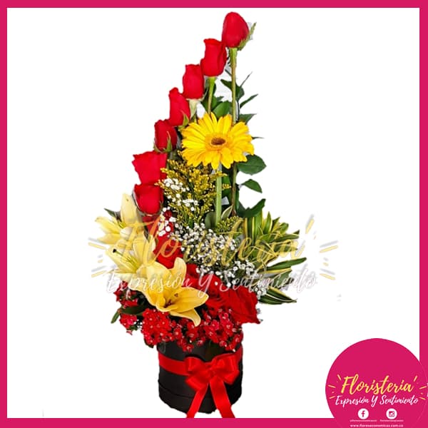 floristeria-expresion-15.jpg Caja Cilindra con Rosas en Escalera - Imagen 1