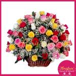 Canasta Tropical en Rosas