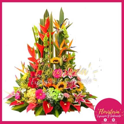 Jardinera Primaveral Exótica