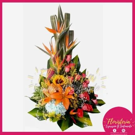 Ramo Triangular Exótico Mediano Rosas