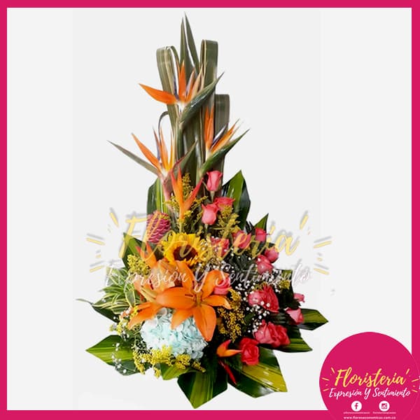 floristeria-expresion-46.jpg Ramo Triangular Exótico Mediano Rosas - Imagen 1