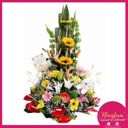 Triangular en Gerberar mas Peluche Gata Pequeña