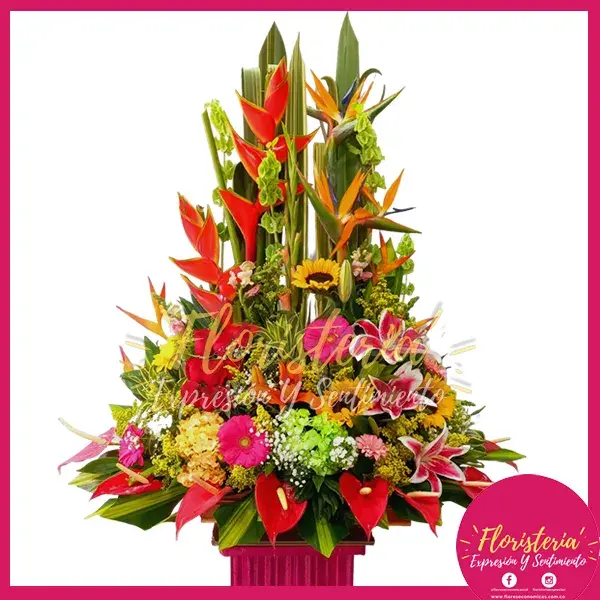 caja-flores-chocolates-09-26 Ramo Tradicional Exótico Especial #09 - Imagen 1