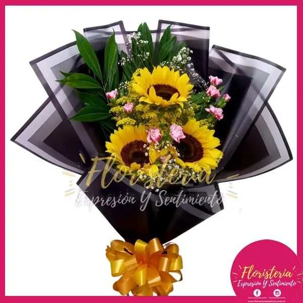 expresion-y-sentimiento-abril-30-1 Bouquet de Girasoles y Clavellina | Villavicencio - Imagen 1