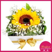 Caja Cuadrada Con Girasol Adornos C01