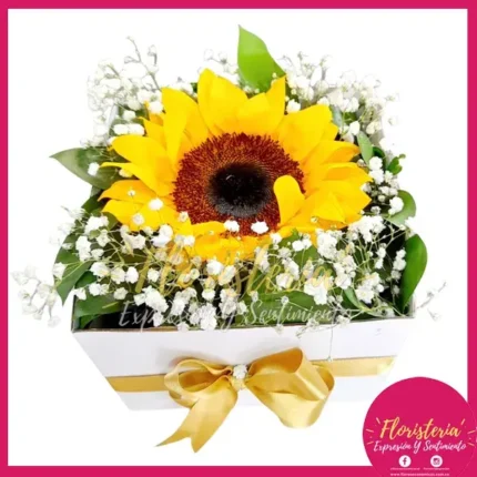 Caja Cuadrada Con Girasol Adornos C01