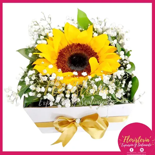 expresion-y-sentimiento-abril-30-20 Caja Cuadrada Con Girasol Adornos C01 - Imagen 1