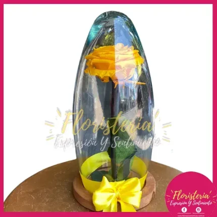 Cúpula Rombo de Rosa Preservada P3