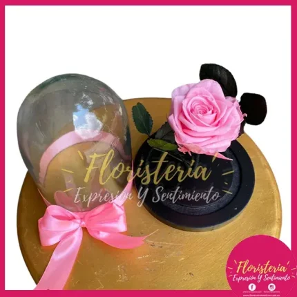 Cúpula Mini de Rosa Preservada P6